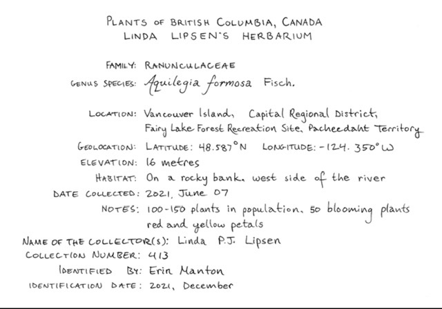Herbarium notes