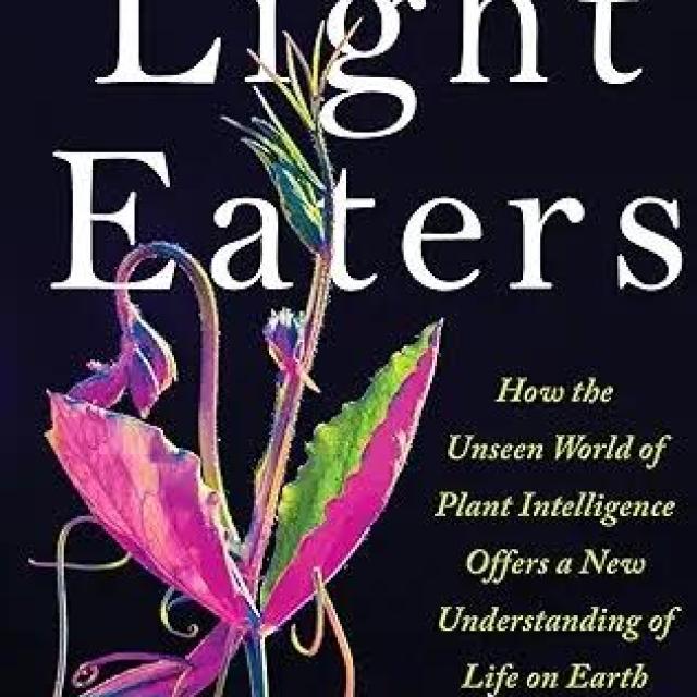 The Light Eaters 